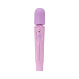 Charmer 2 Speed Massager Purple